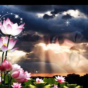 Meet your Posher, Lien